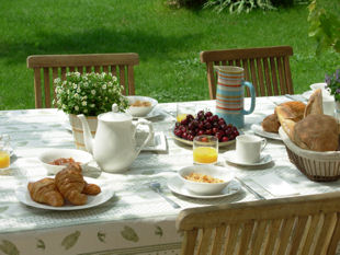 Provence bike tours, France - Breakfast buffet on the terrace under the vines.