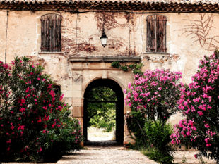 Provence.