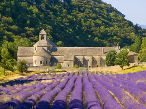 Abbaye of Senanque, near Gordes, in Provence, France.