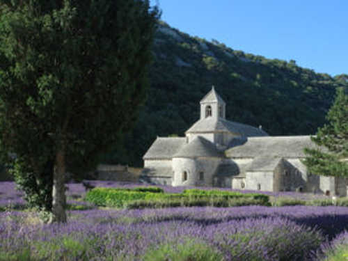 Abbaye of Senanque, near Gordes, in Provence, France.